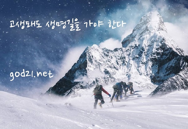 사용자 삽입 이미지