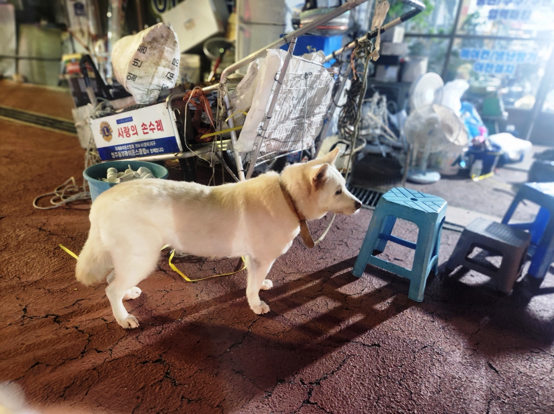 사용자 삽입 이미지