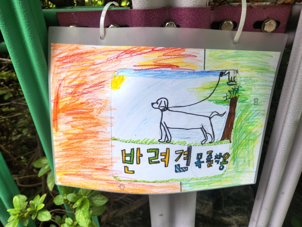 사용자 삽입 이미지