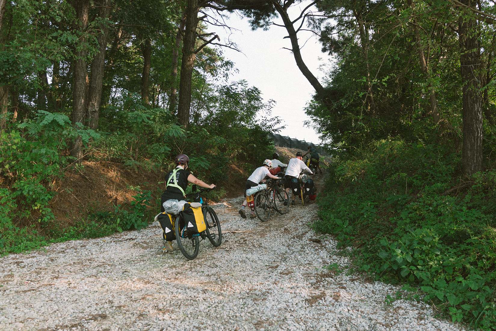 나무와 풀이 우거진 사이에 비포장 오르막 길이 있고 몇몇 사람들이 자전거를 끌고 올라가고 있다. 