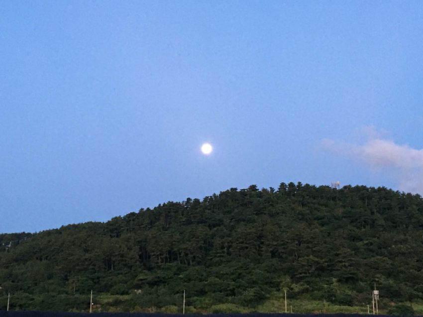 사용자 삽입 이미지