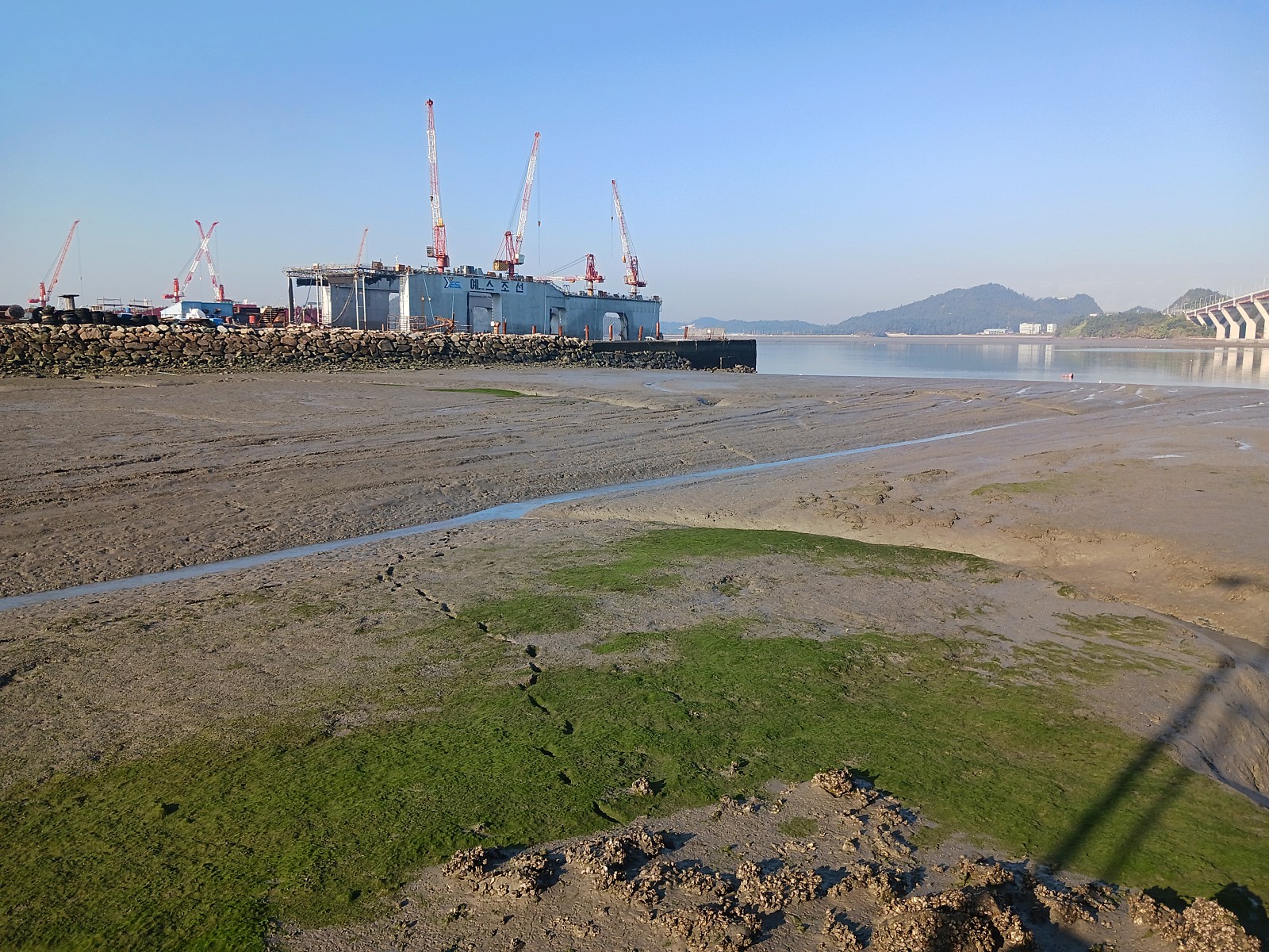 사용자 삽입 이미지