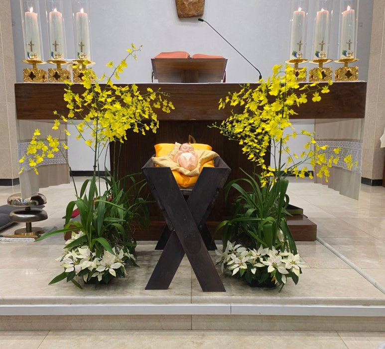 사용자 삽입 이미지