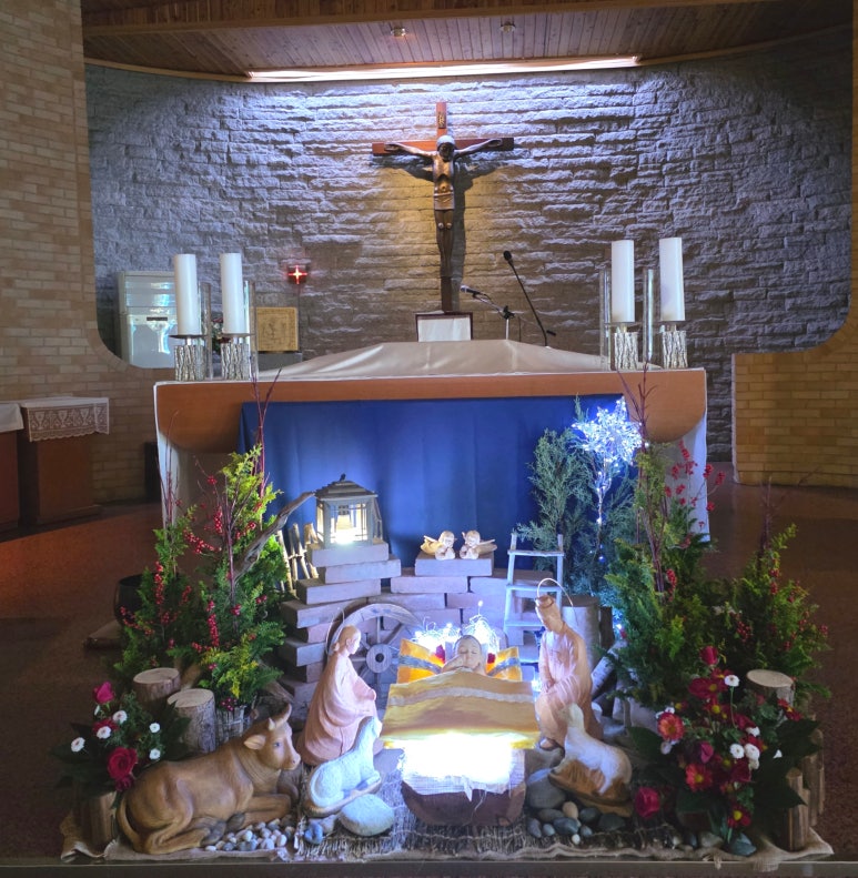 사용자 삽입 이미지