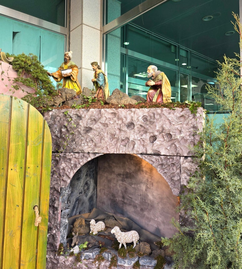 사용자 삽입 이미지