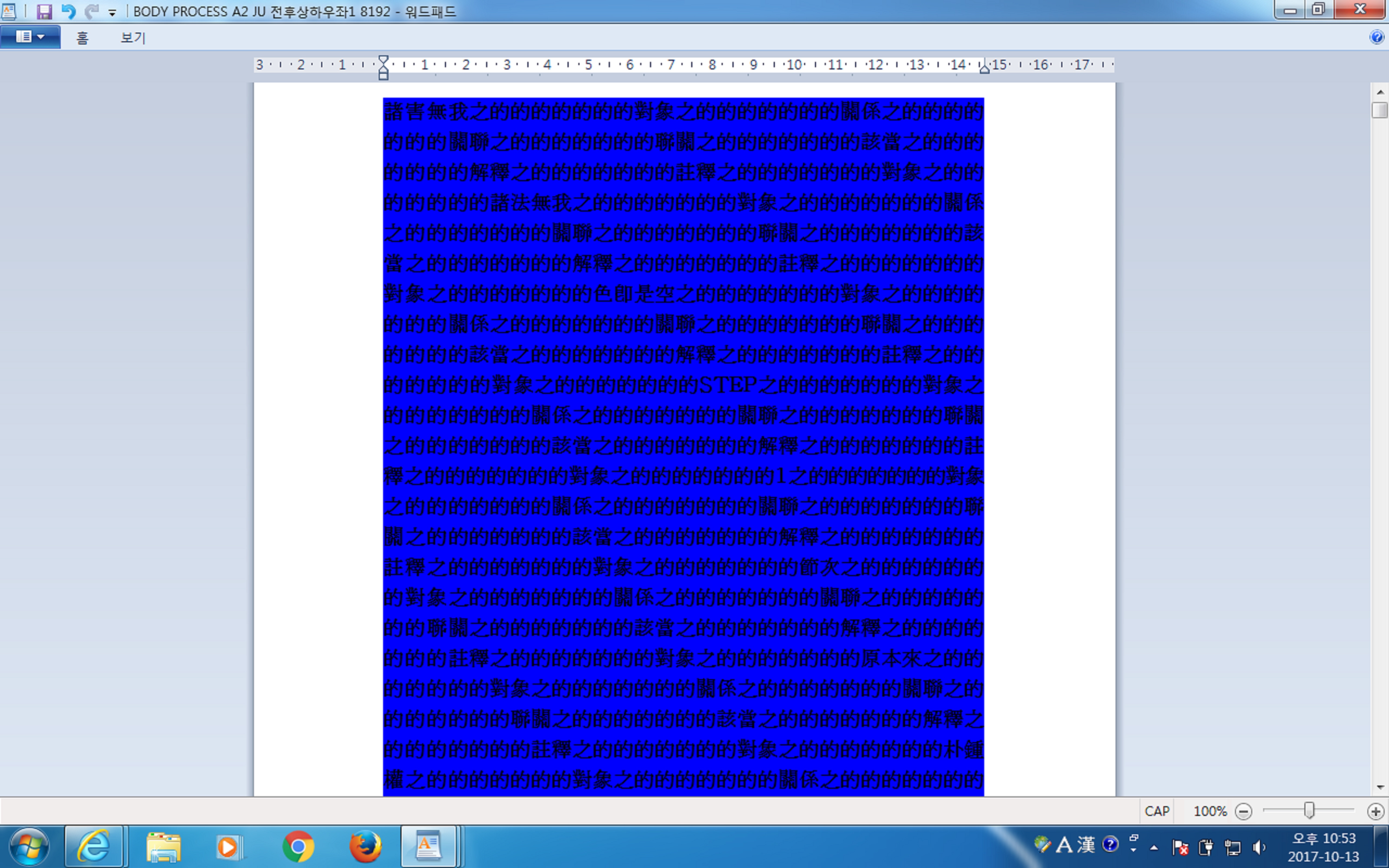사용자 삽입 이미지