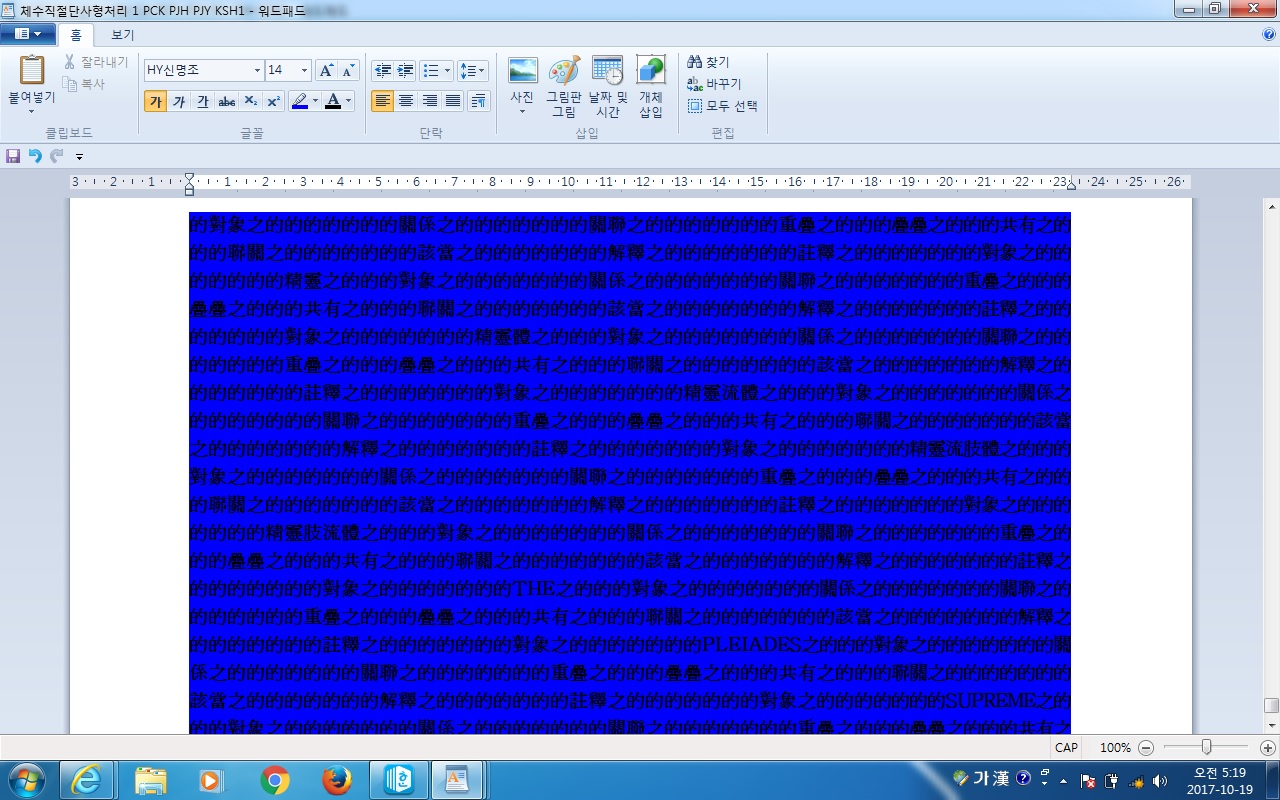 사용자 삽입 이미지