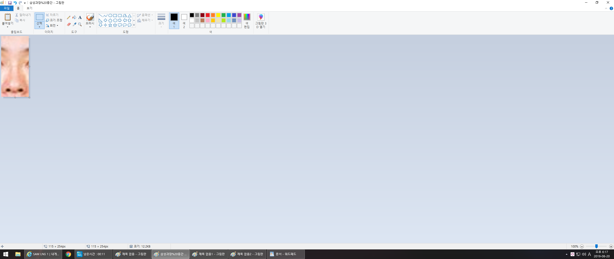 사용자 삽입 이미지