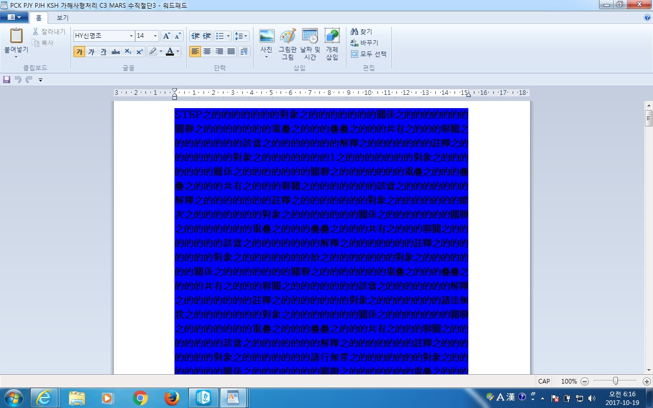 사용자 삽입 이미지
