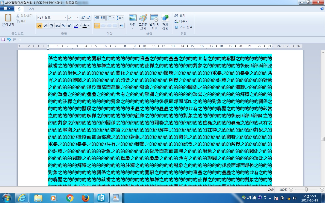 사용자 삽입 이미지