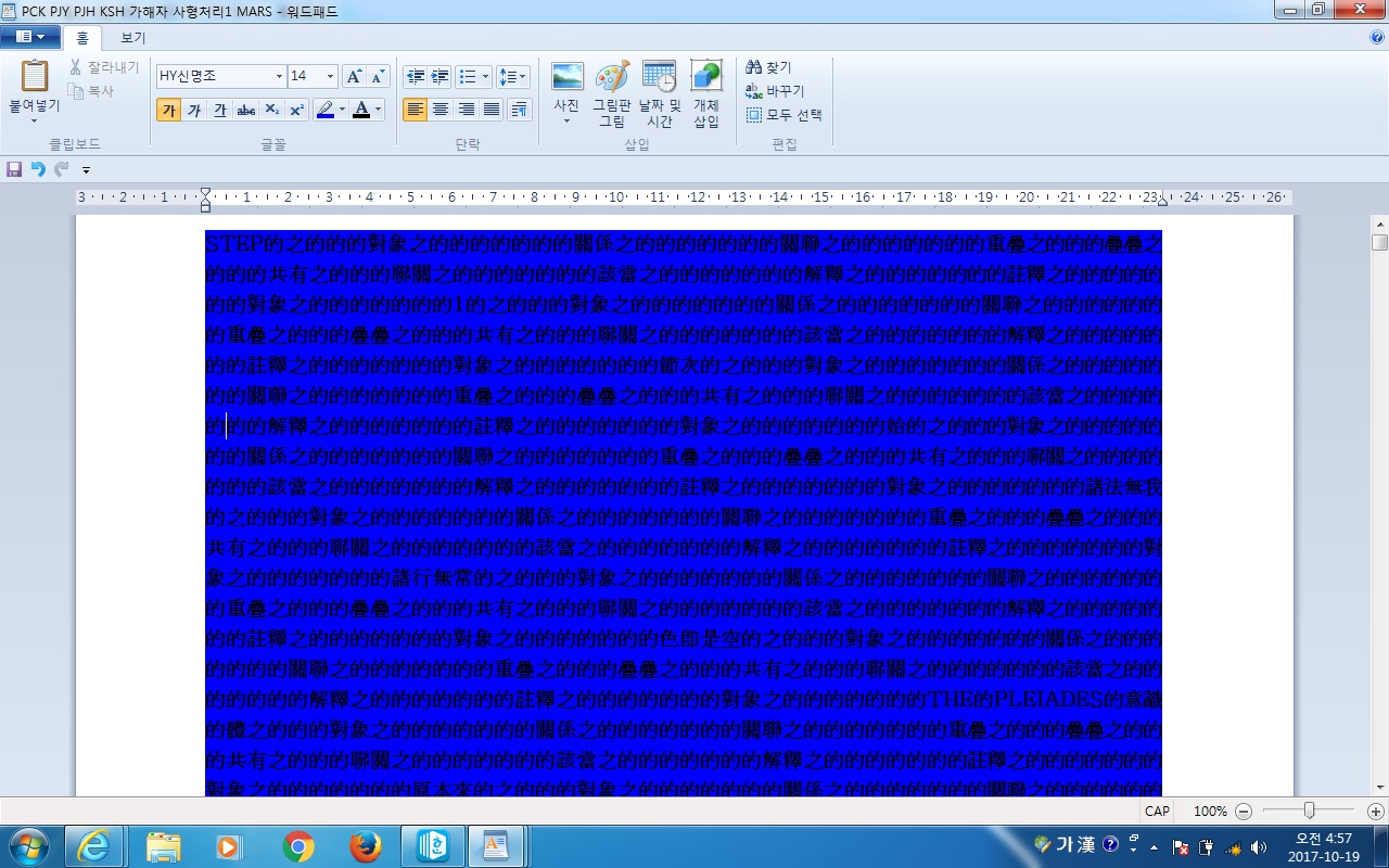 사용자 삽입 이미지