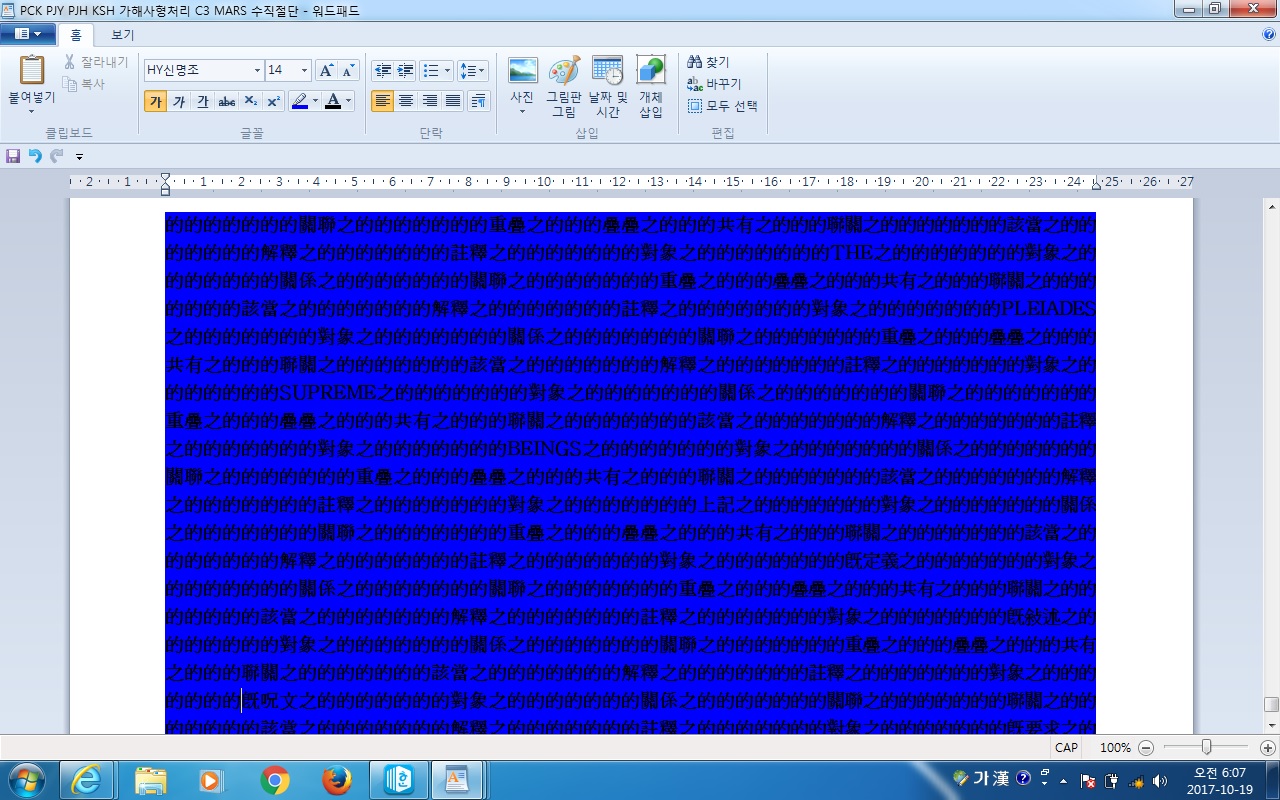 사용자 삽입 이미지