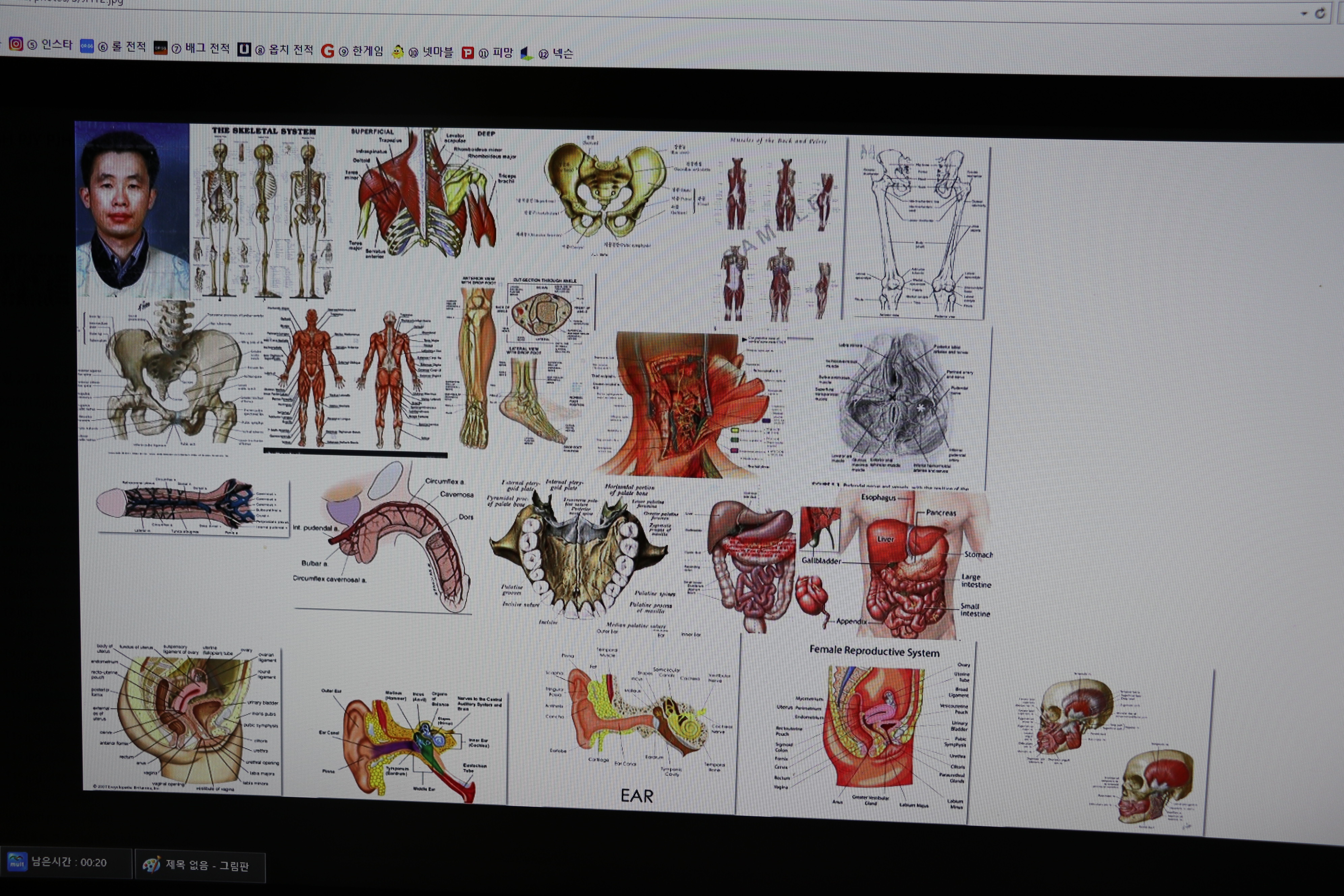사용자 삽입 이미지