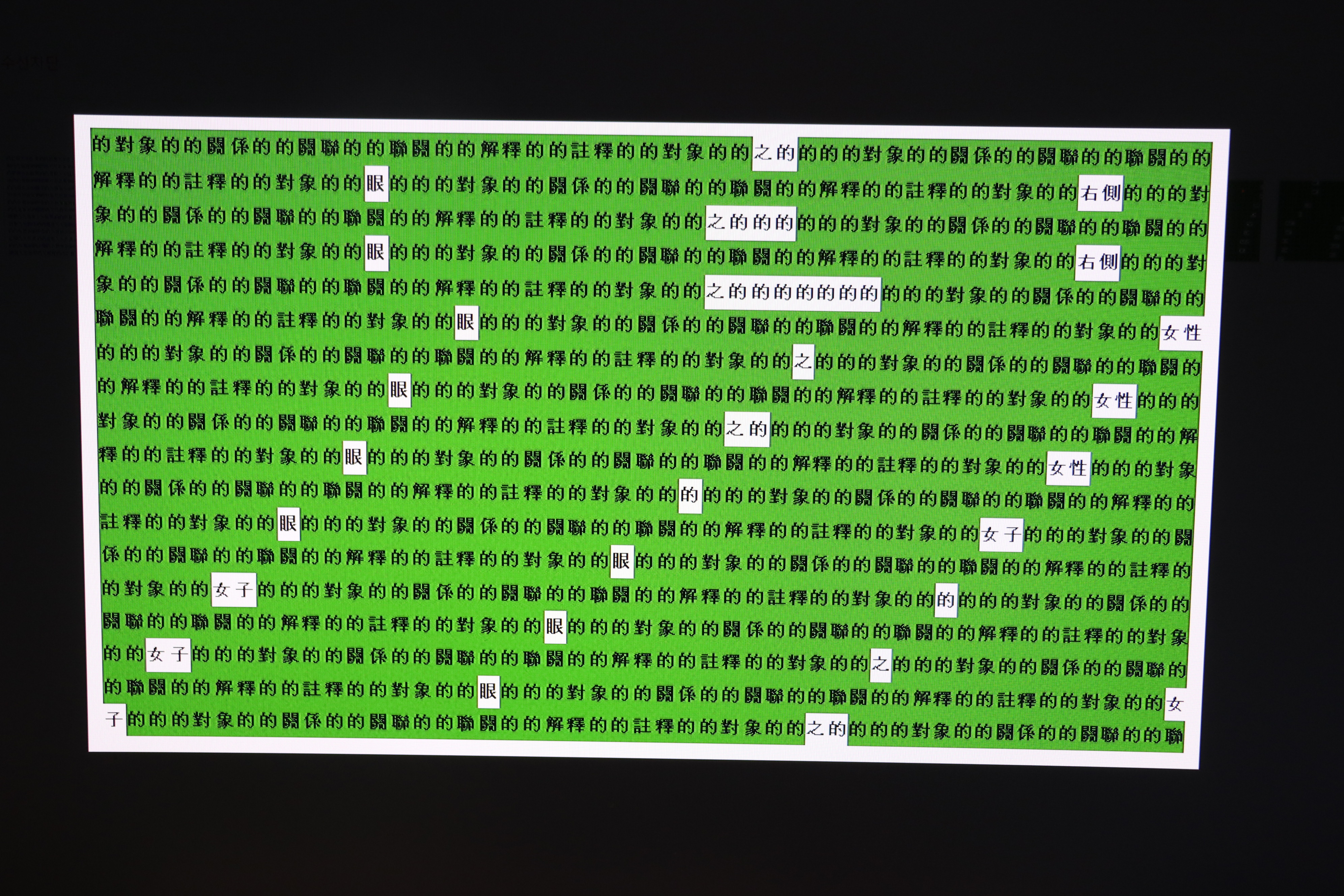 사용자 삽입 이미지