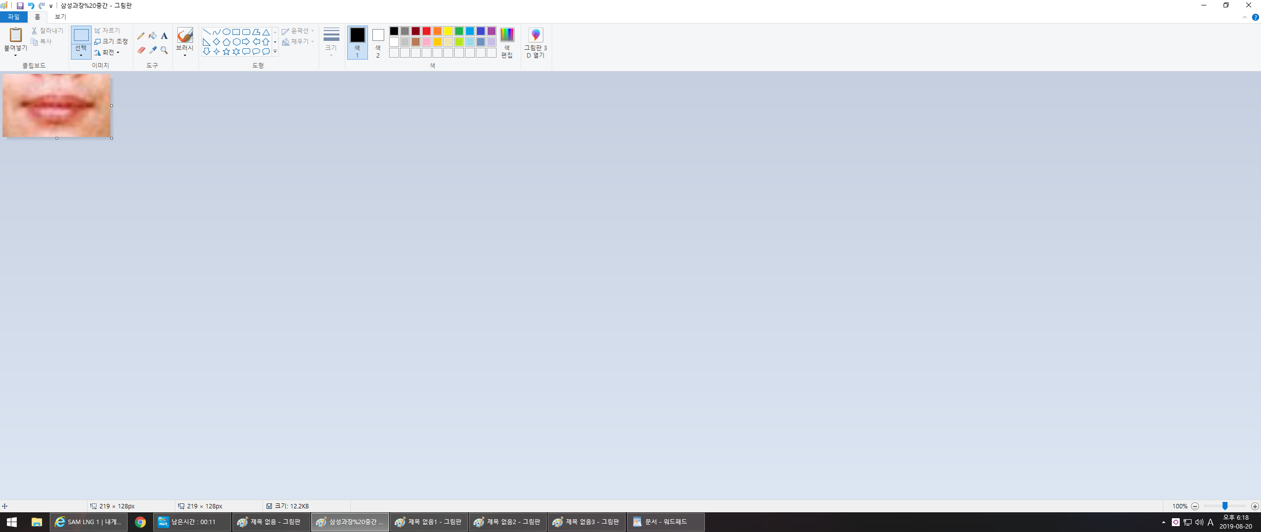 사용자 삽입 이미지
