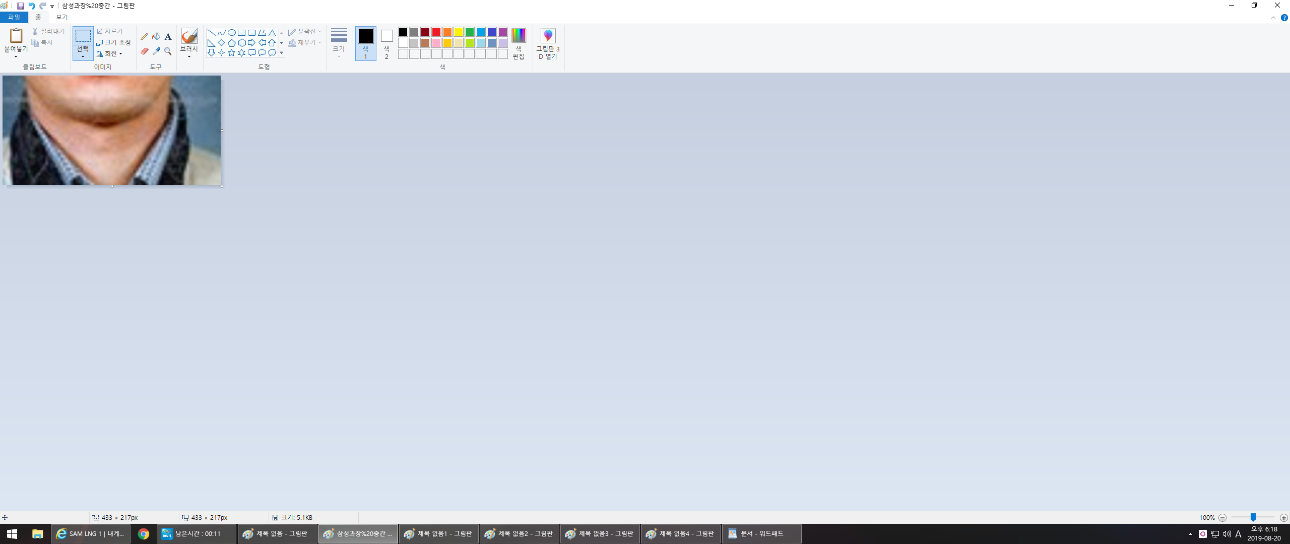 사용자 삽입 이미지