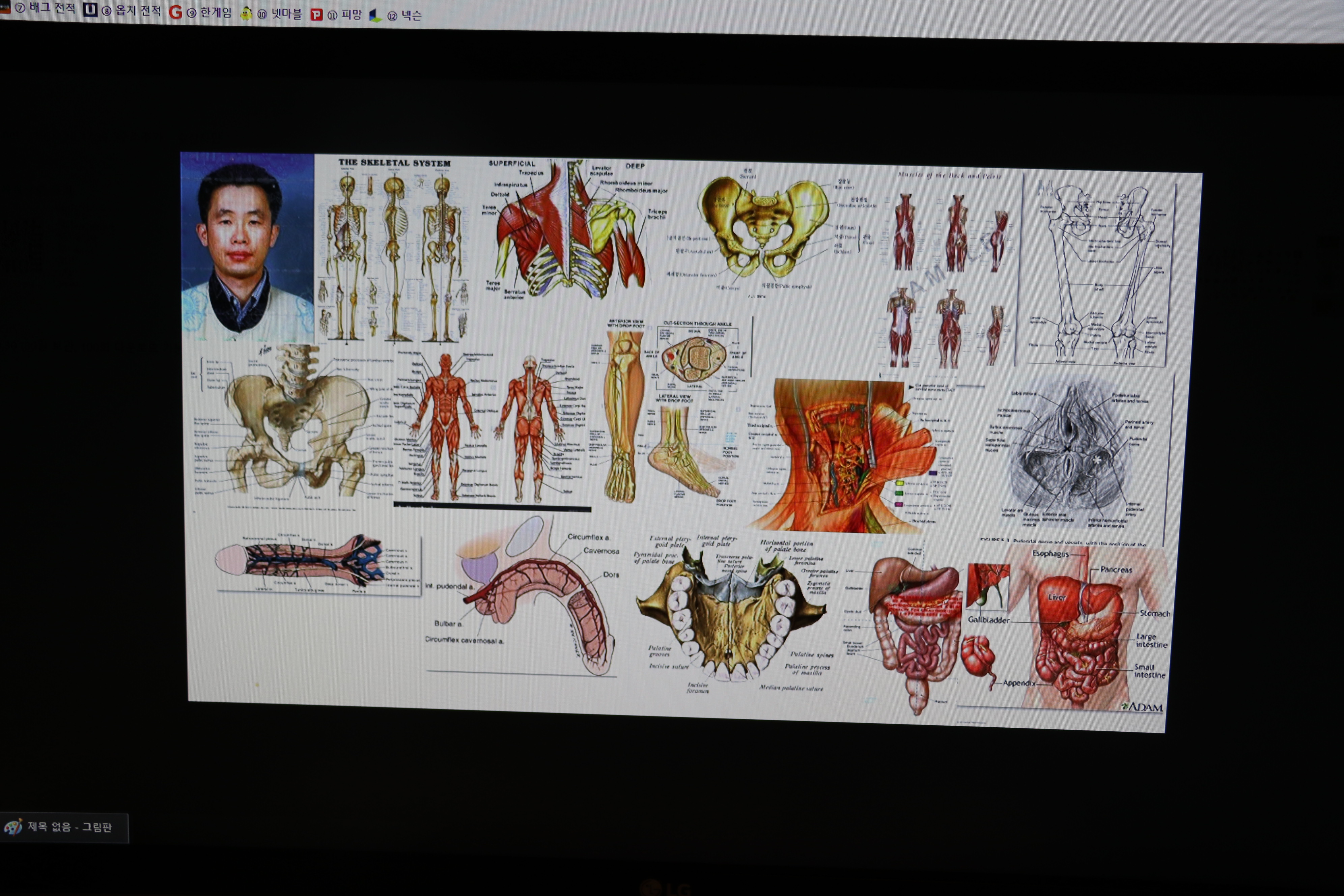 사용자 삽입 이미지