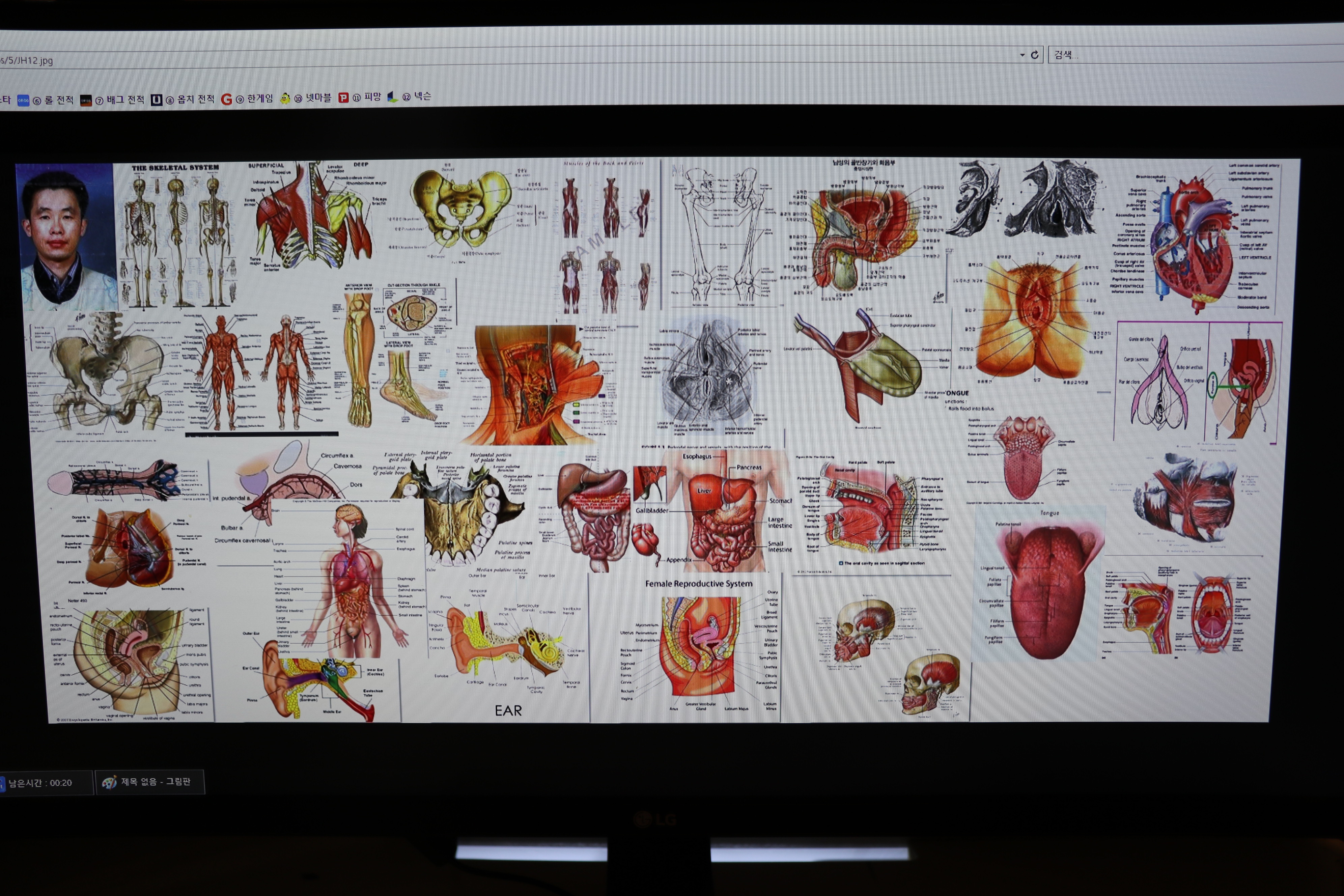 사용자 삽입 이미지